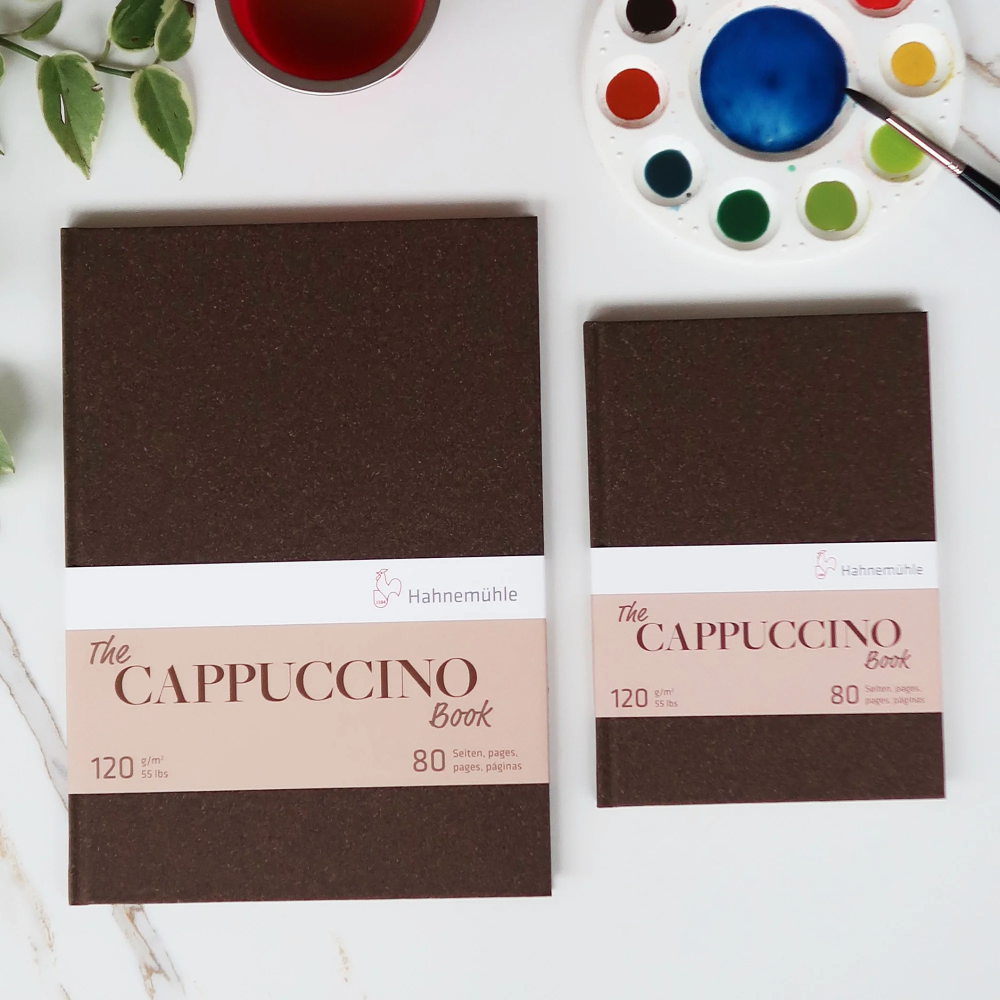 2 Cappucino books