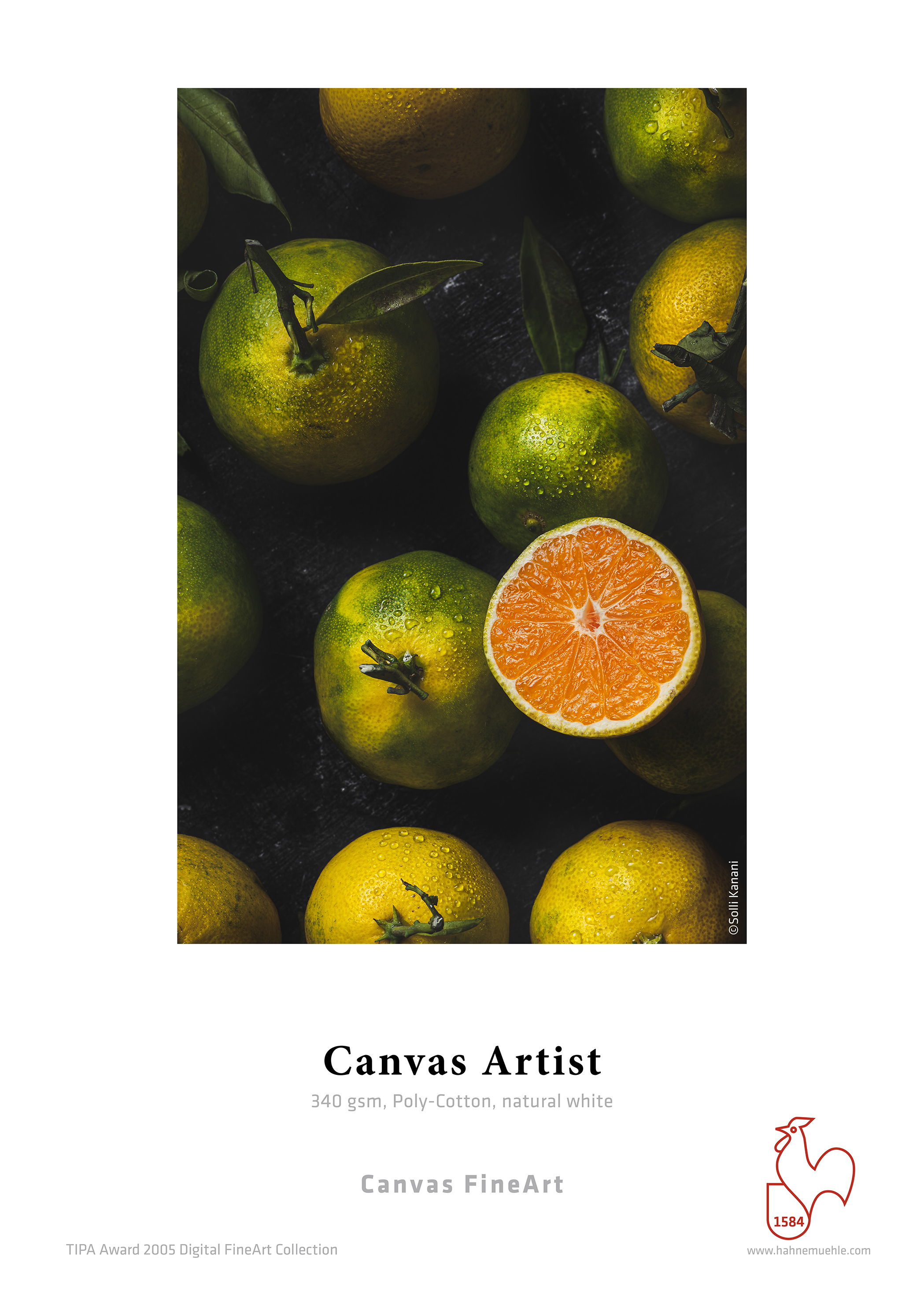 Canvas Artist