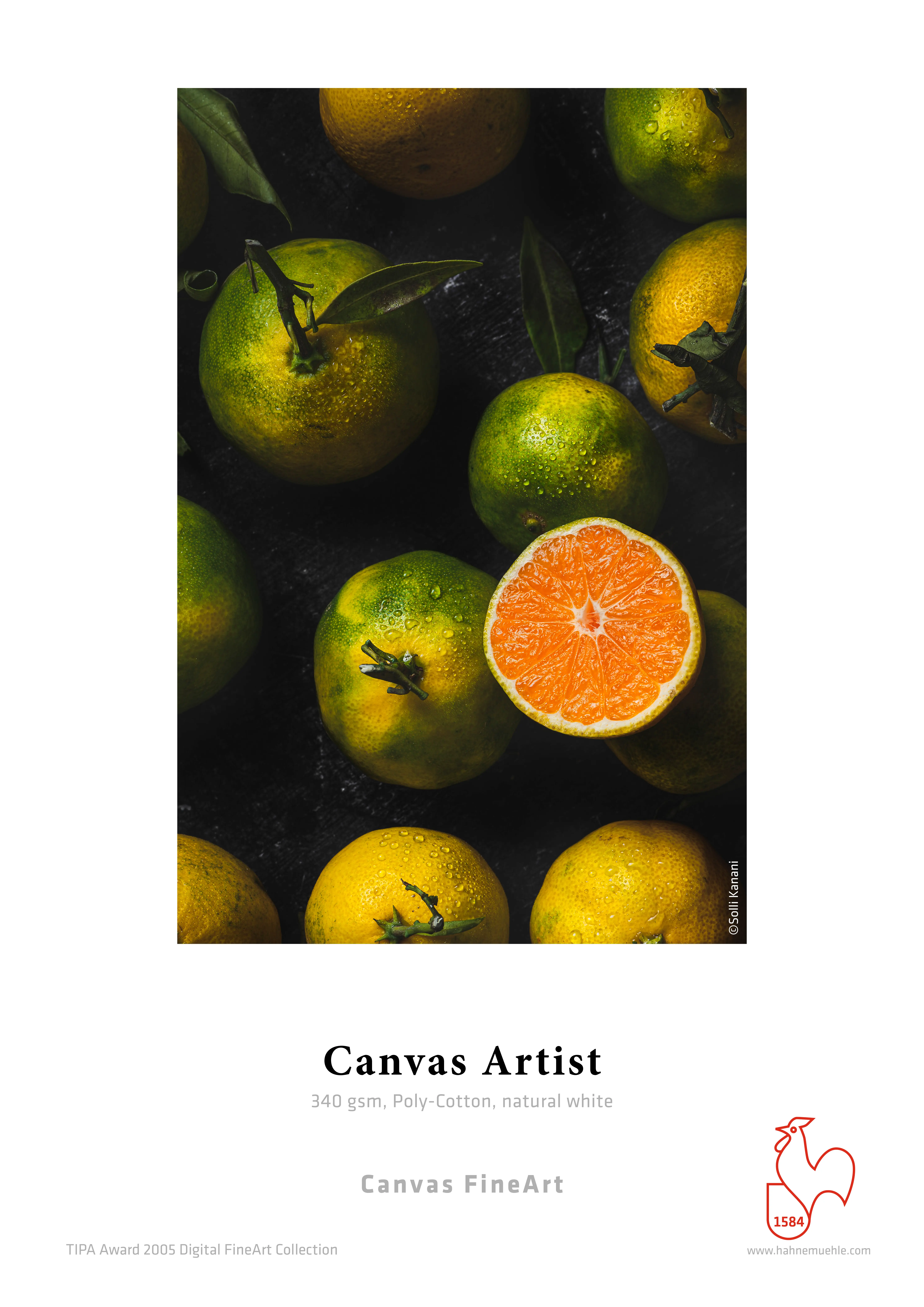 Canvas Artist 340 