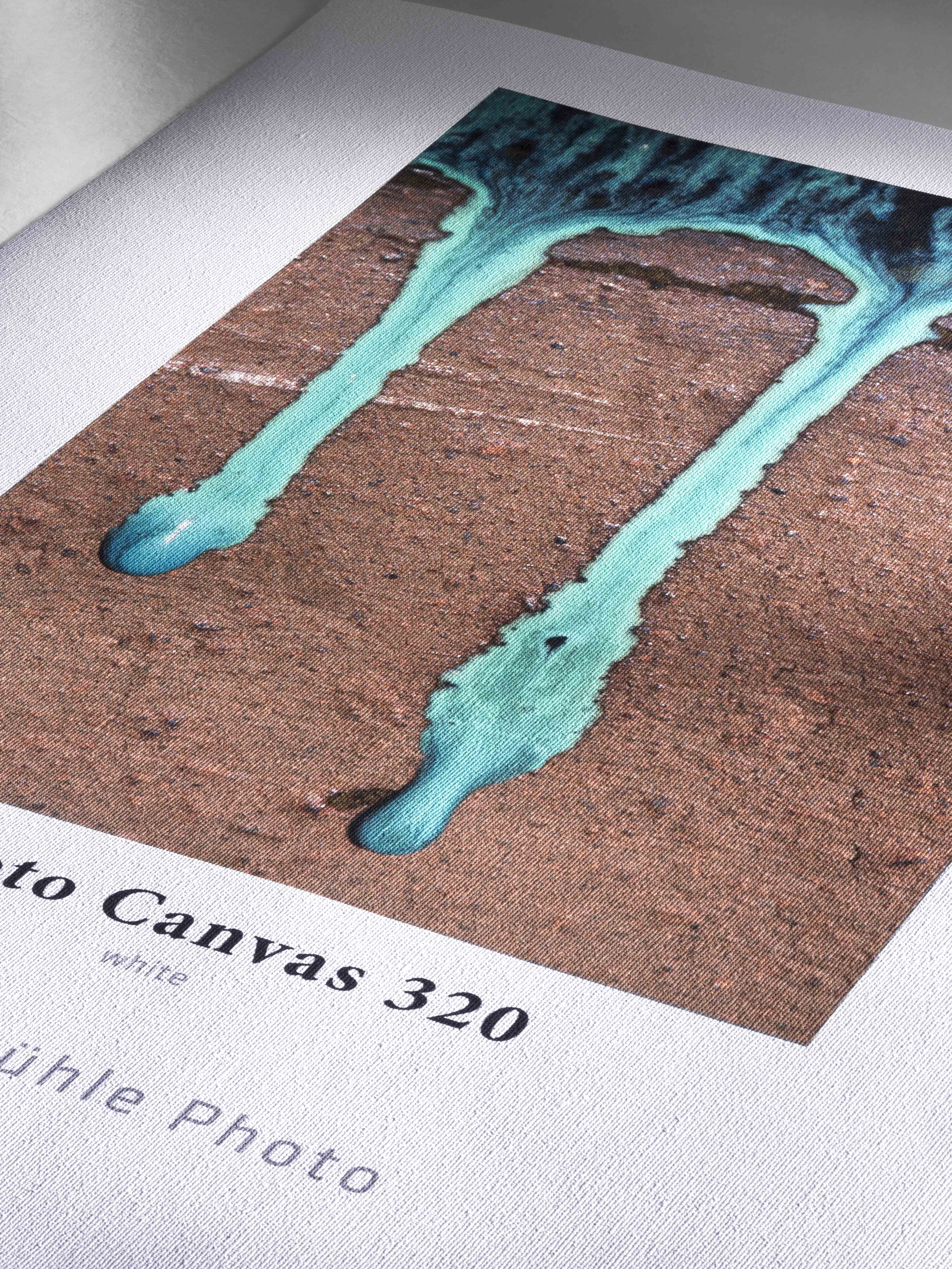 Photo Canvas 320 Detailaufnahme