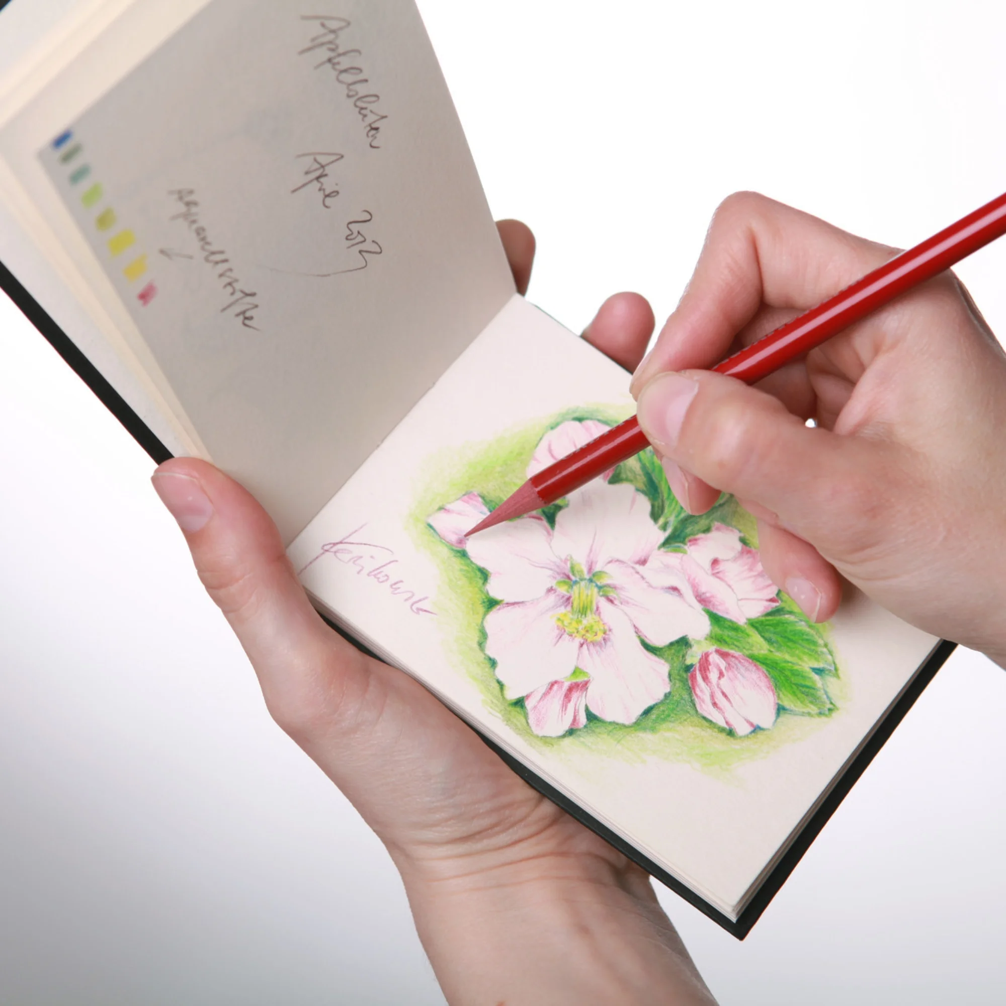 art, sketchbook, drawing, flower, pencil