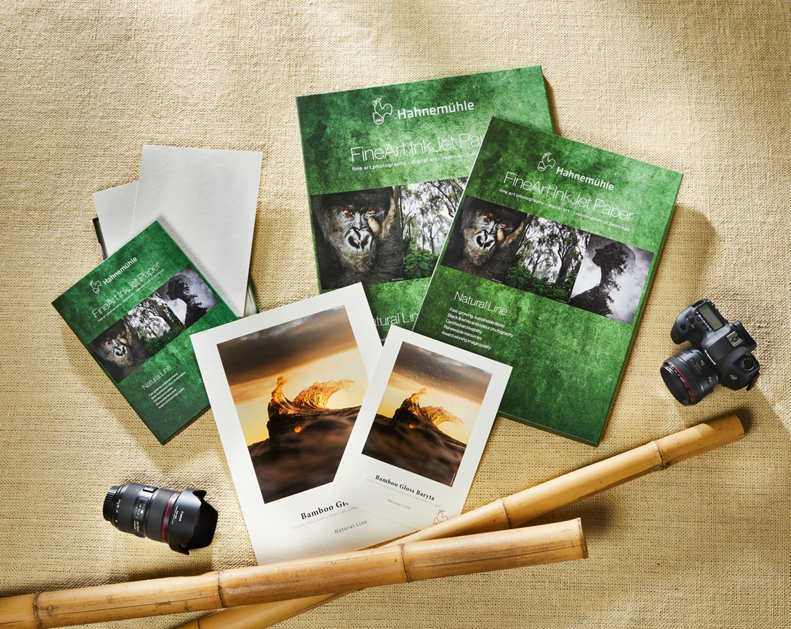 photography, art print, brochure, bamboo, camera gear