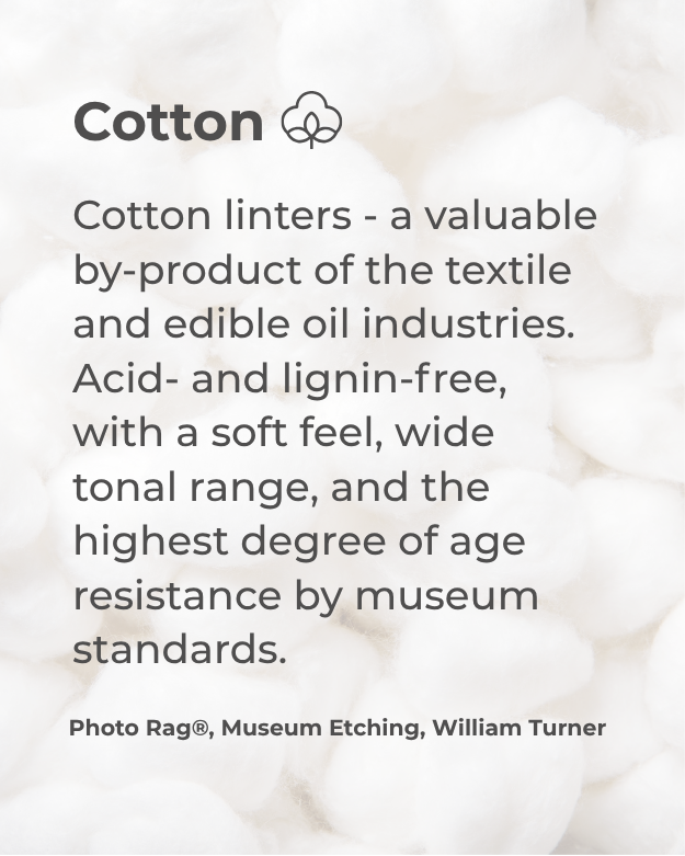 cotton, lint, fibers, texture, white