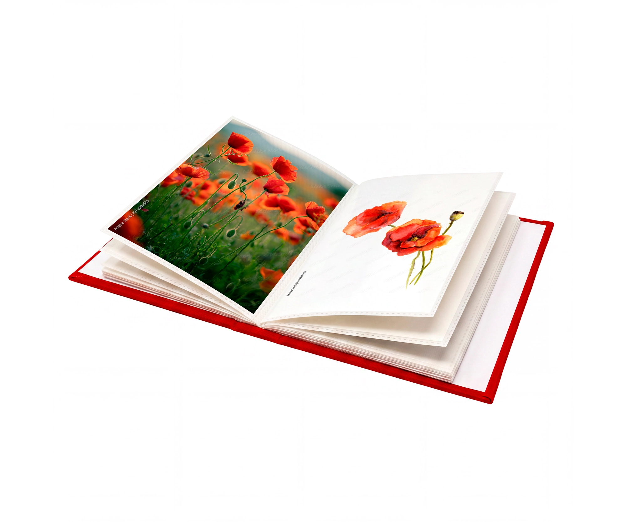 photo album, open book, red cover, poppy illustration, flower print