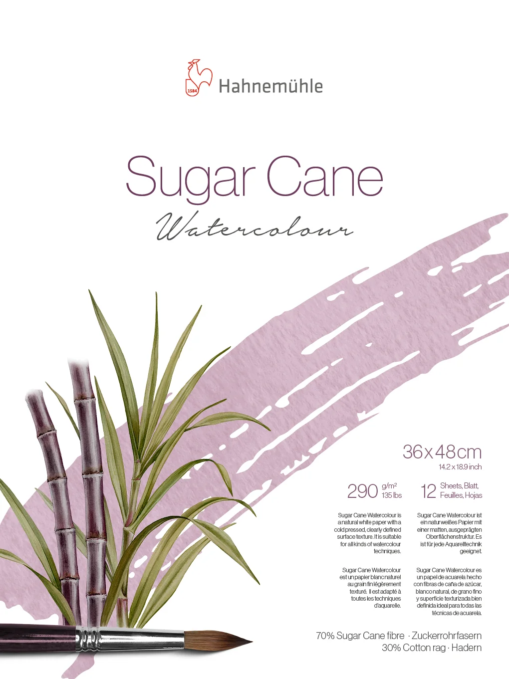 Sugar Cane 36x48