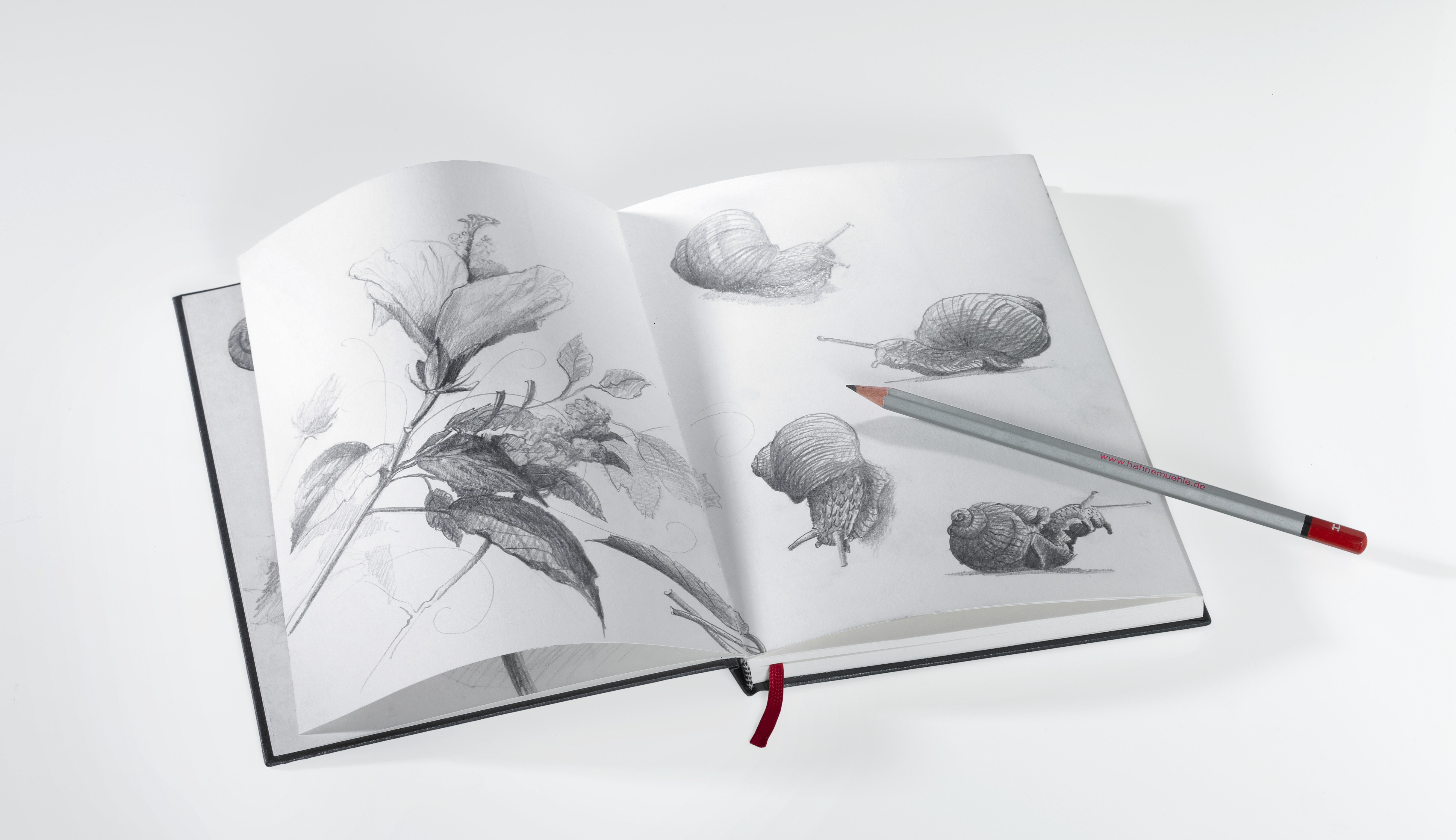 Nostalgie Livre de Dessin