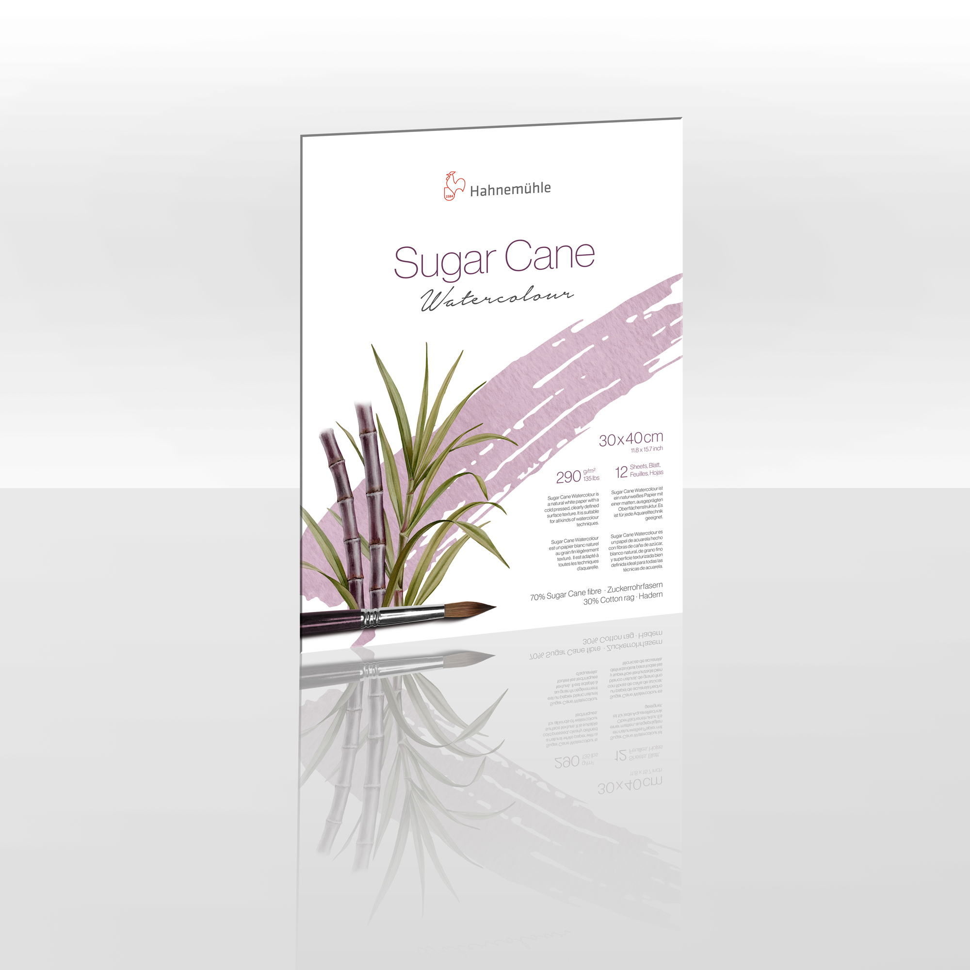 Sugar Cane 30x40