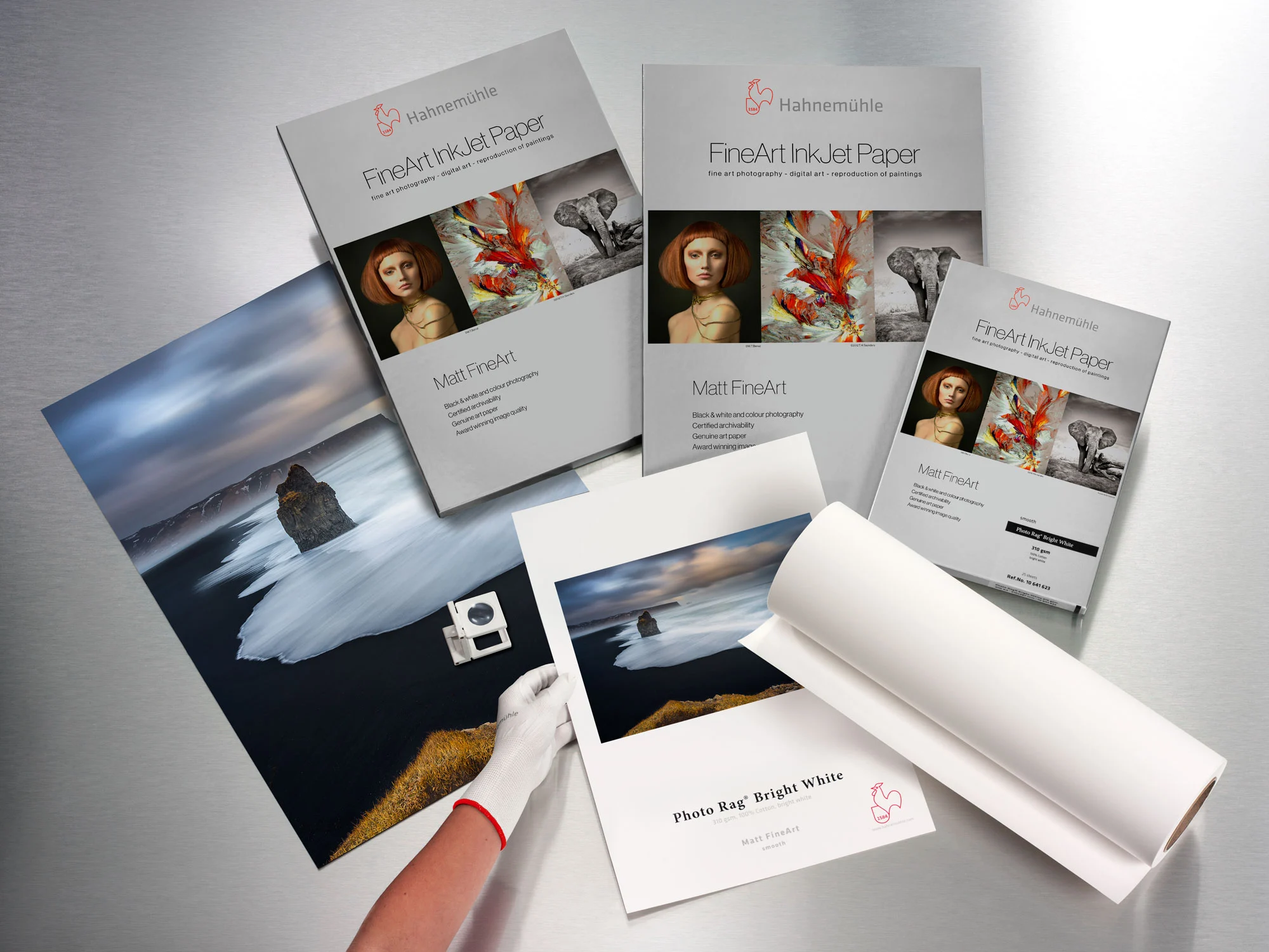 paintings, art prints, brochure, photography, catalog
