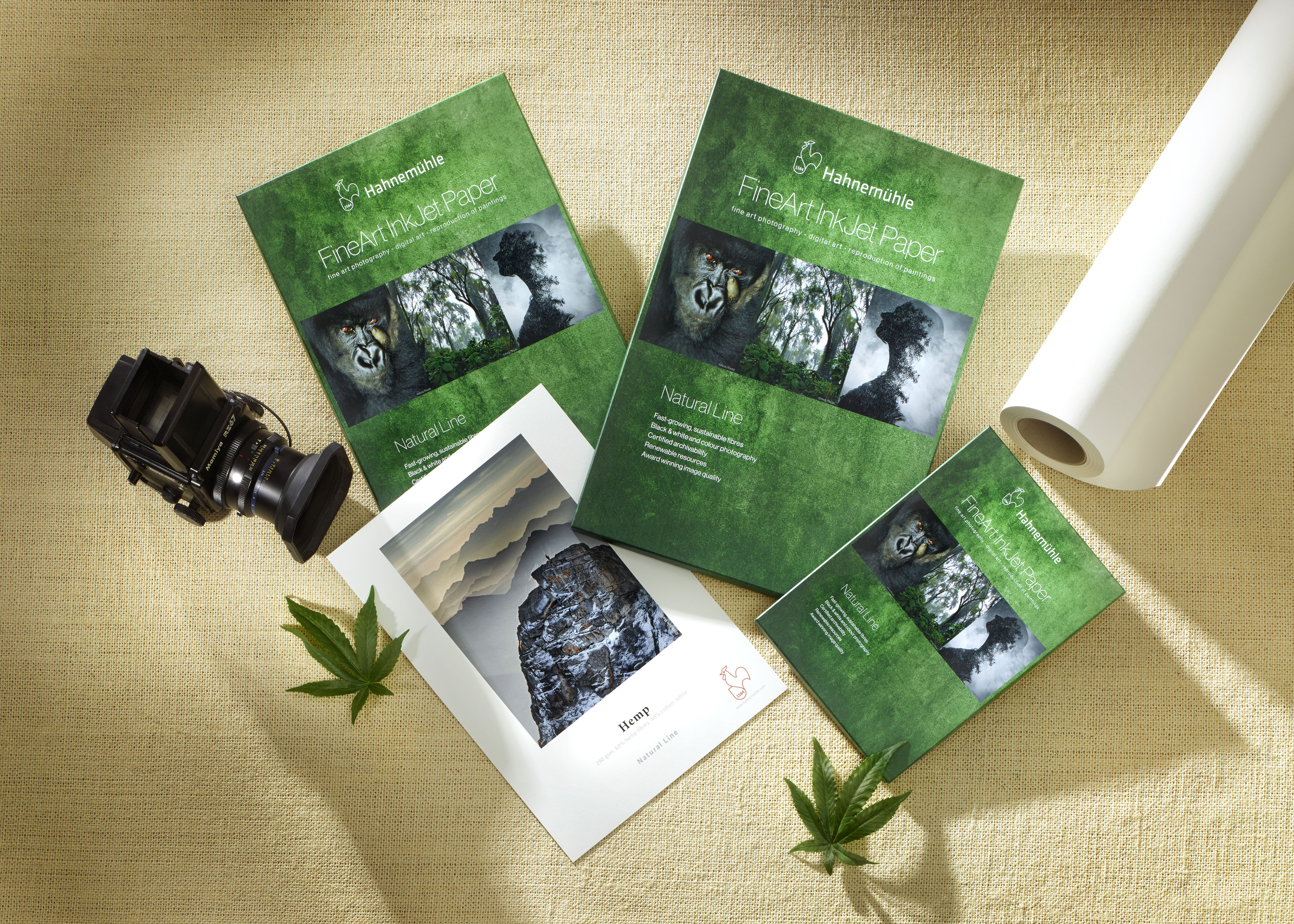 Hemp Übersicht