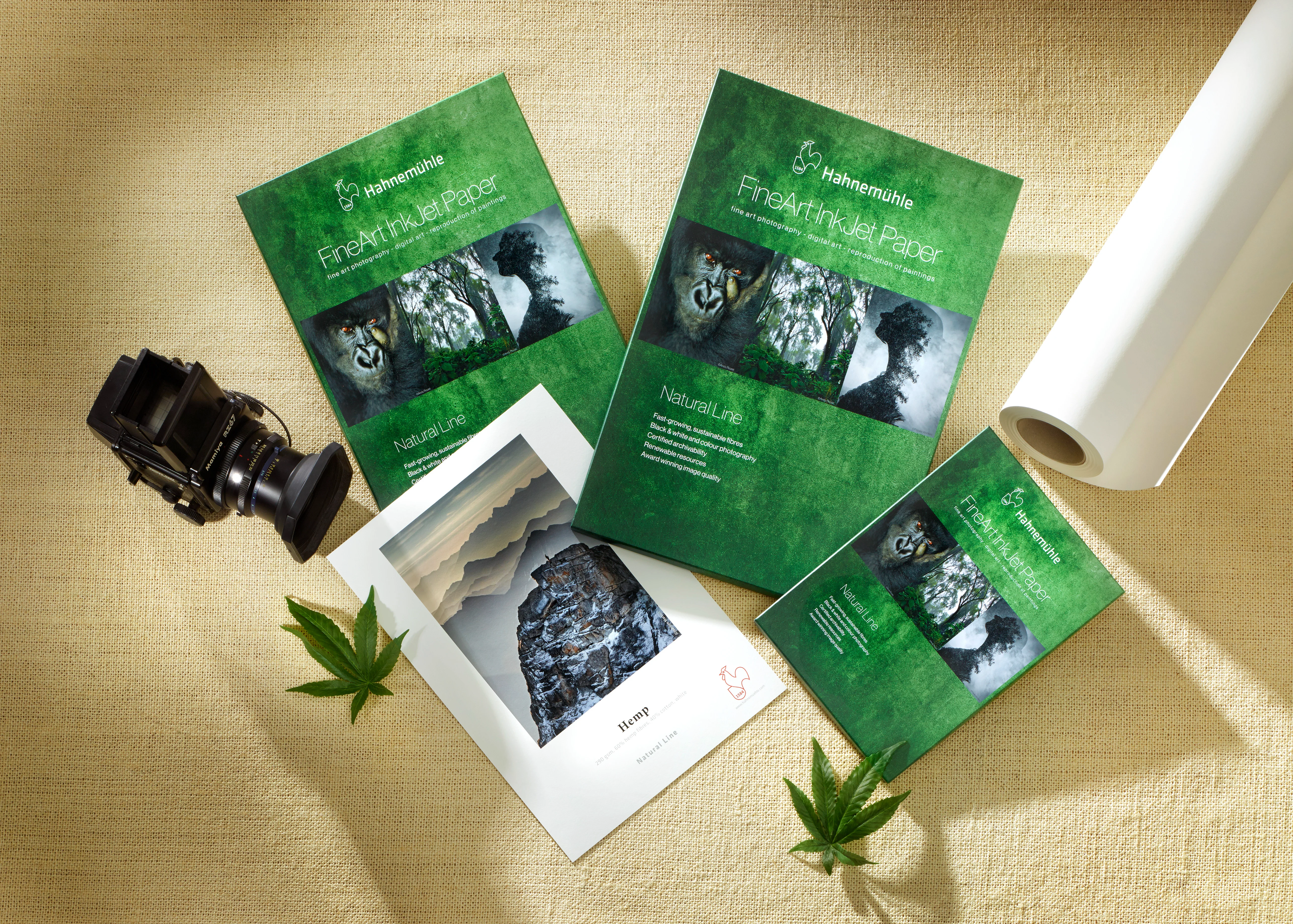 Hemp Übersicht