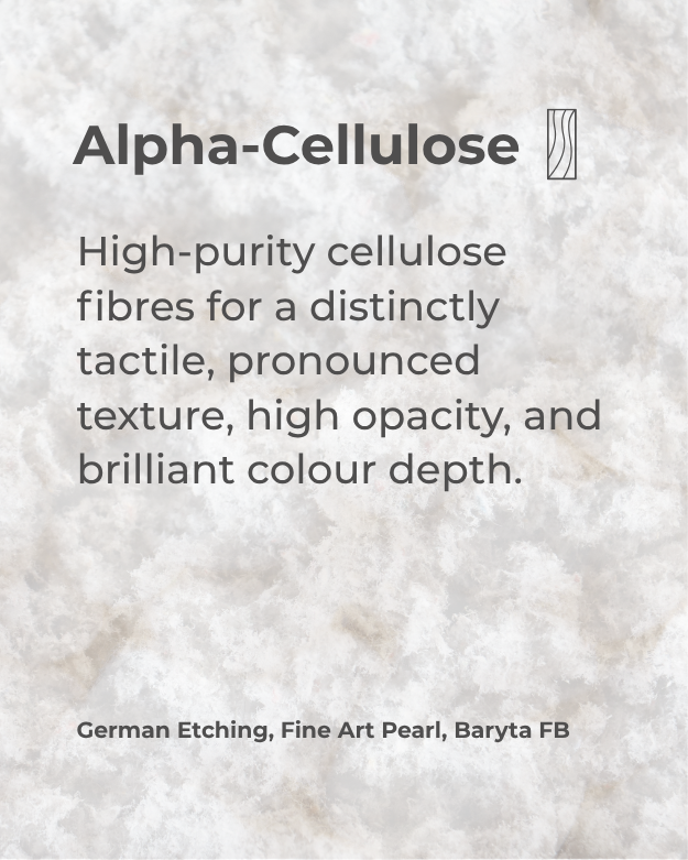 cellulose, fibres, texture, opacity, color depth