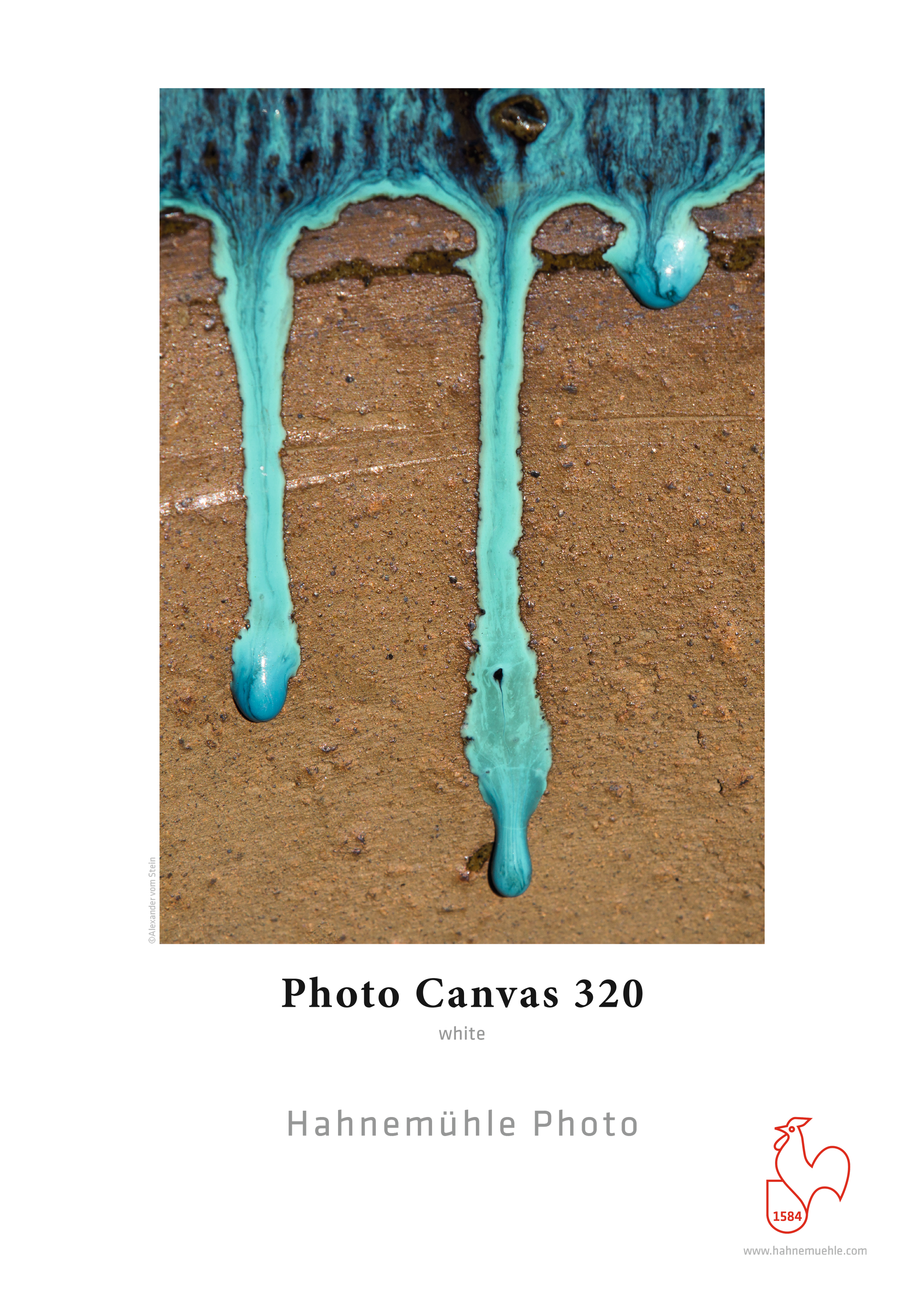 Photo Canvas 44 Zoll