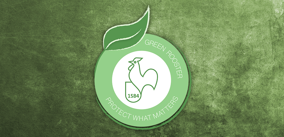 Nachhaltigkeit Green Rooster Logo