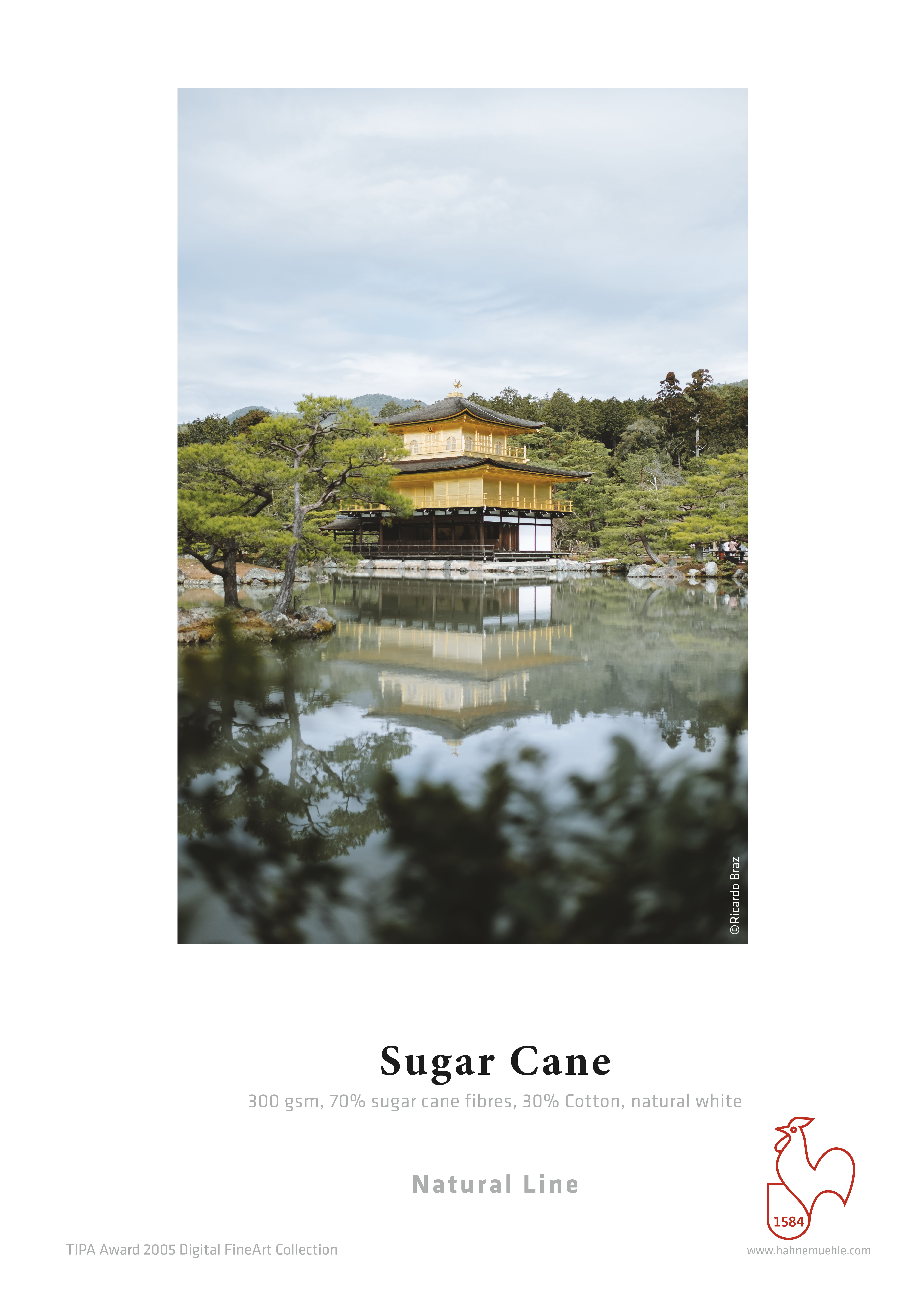 Musterdruck von Sugar Cane. Gedrucktes Foto mit Haus am See