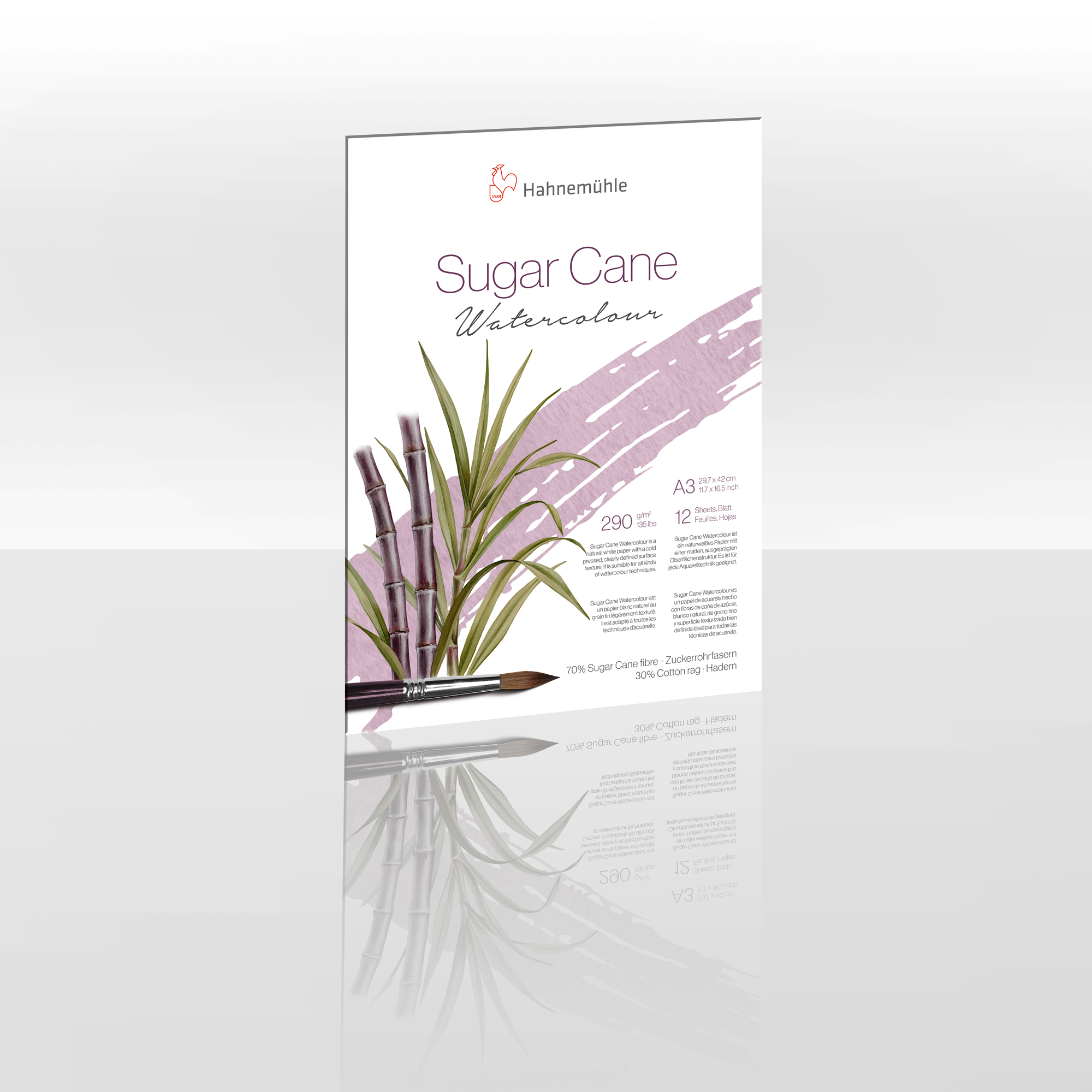 Sugar Cane A3